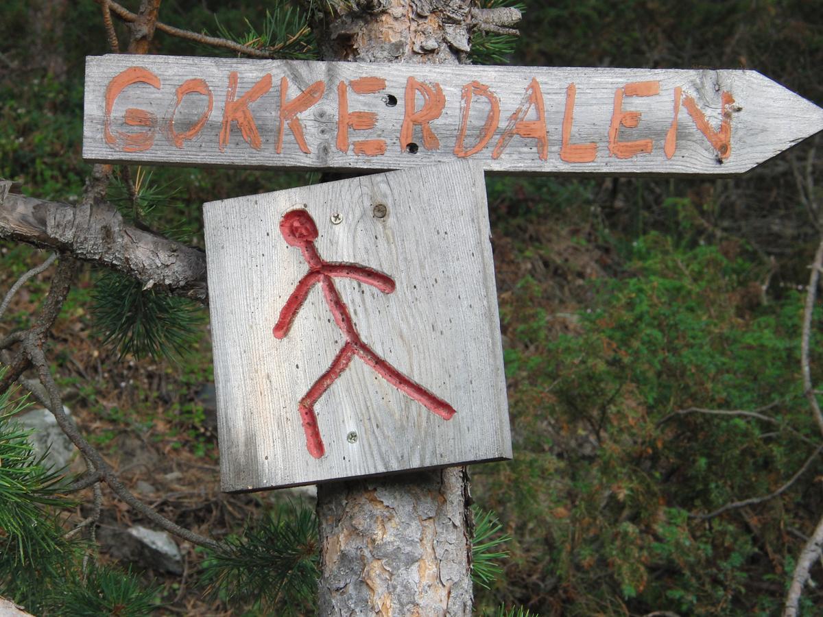 Strind Gard, Visdalssetra Villa Bøverdalen Eksteriør bilde